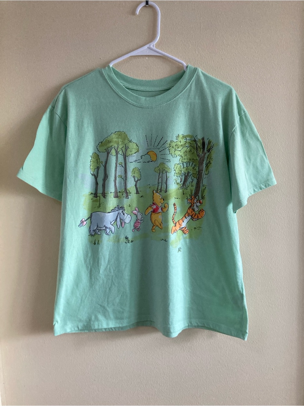 Disney Mint Green Winnie the Pooh Friends Graphic Tee